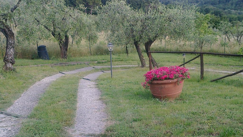 La Casetta Di Barbara Impruneta Quarto foto